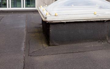 disadvantages of Borgue flat roofs