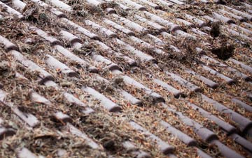 Borgue roof cleaning companies