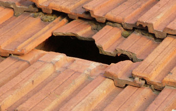 roof repair Borgue